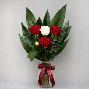romance moderne